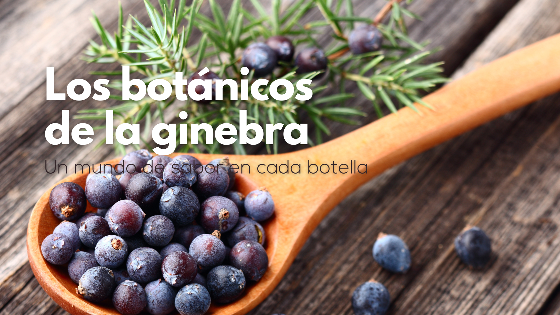 Los botánicos de la ginebra: un mundo de sabor en cada botella